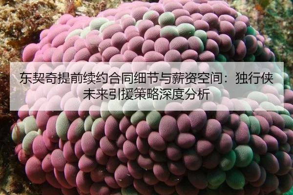 dong-qi-qi-ti-qian-xu-yue-he-tong-xi-jie-yu-xin-zi-kong-jian-du-xing-xia-wei-lai-yin-yuan-ce-lve-shen-du-fen-xi-2-151.jpg